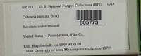 Image Associated With the Occurence
